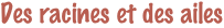shapeimage_3_link_0